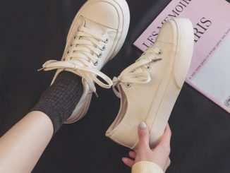 Thông tin chung về giày vải canvas cổ thấp dế bằng