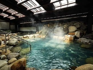 Yoko Onsen Quang phân khu tắm với 27 bể tắm khoáng tại khu vực tắm công cộng bao gồm bể carbornate, bể tắm hang, bể phản lực, bể tắm đá, bể tắm trẻ em, bể tắm đào viên, bể tắm chum, bể sục, bể ngâm nước lã, nước hot, bể ngâm chân